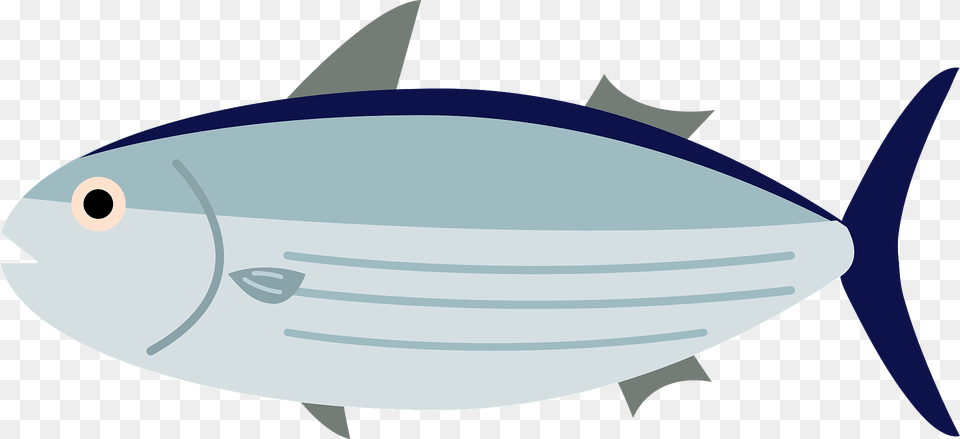 Skipjack Tuna Fish Clipart, Animal, Bonito, Sea Life, Shark Free Png