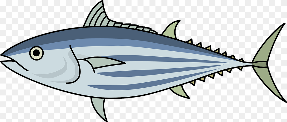 Skipjack Tuna Fish Clipart, Animal, Bonito, Sea Life, Shark Free Png Download