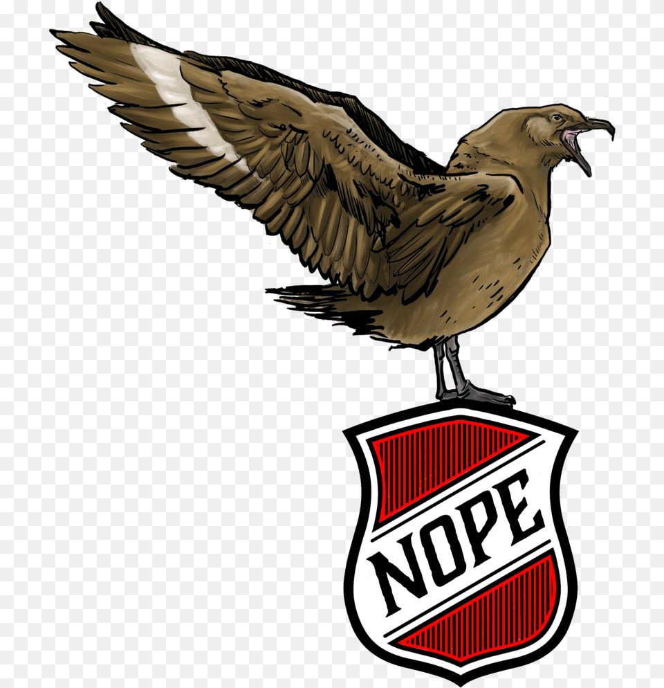 Skua Sticker Design Design, Animal, Bird, Logo, Badge Free Png
