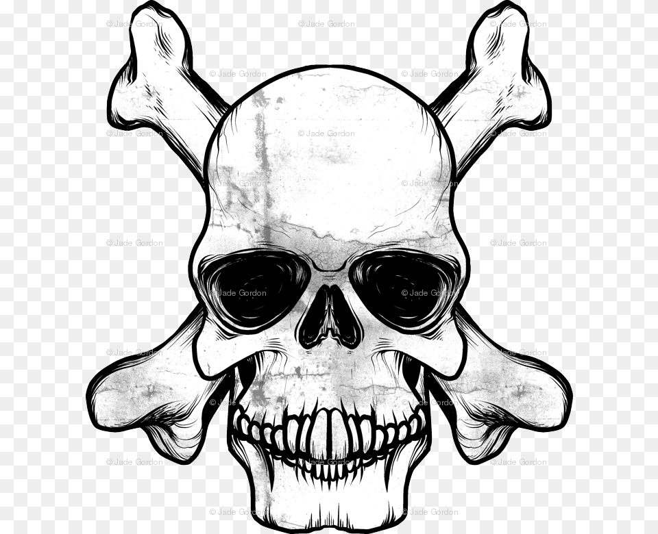 Skull, Person, Head, Face Png