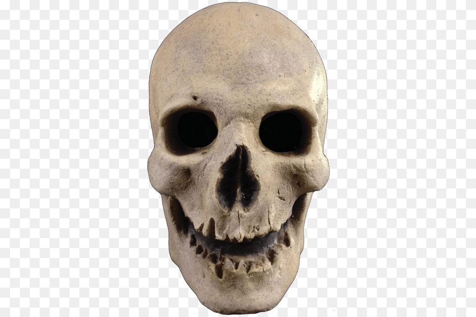 Skull, Person Free Png