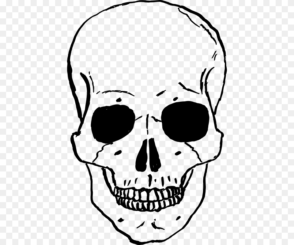 Skull, Gray Free Png Download