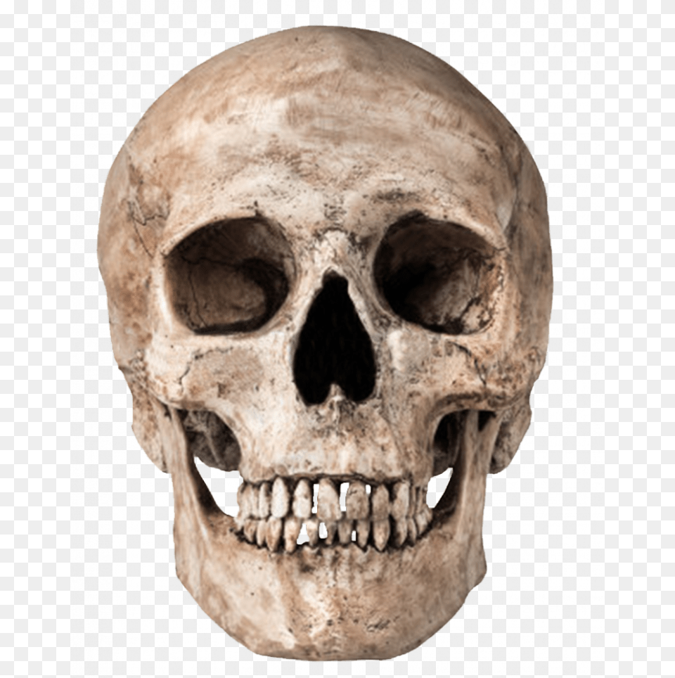 Skull, Person, Head, Face Free Png Download