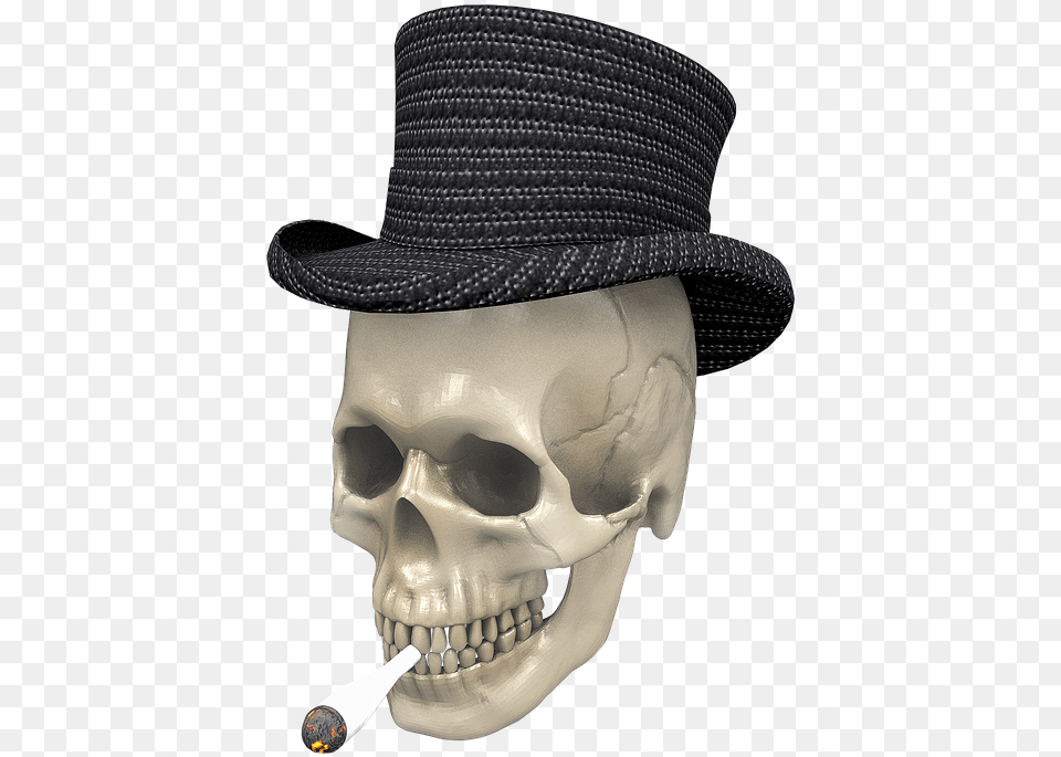 Skull, Clothing, Hat, Sun Hat, Adult Free Png