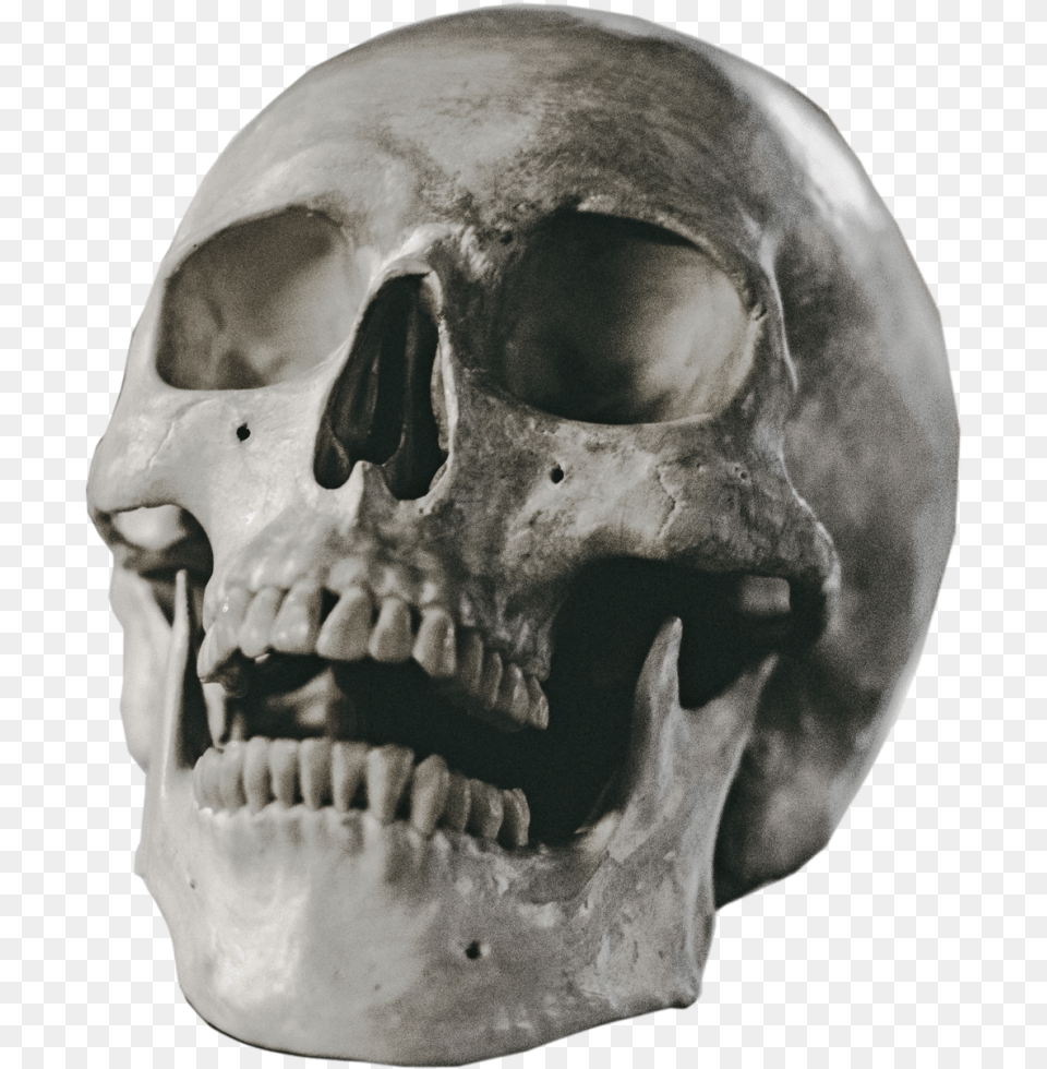 Skull, Person, Head, Face Free Png