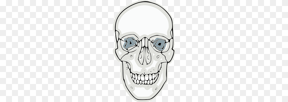 Skull Body Part, Teeth, Person, Mouth Free Png Download