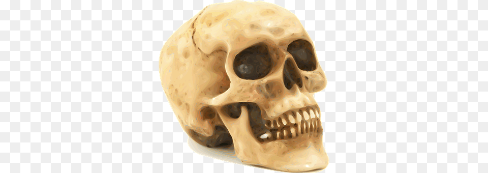 Skull Head, Person Free Png
