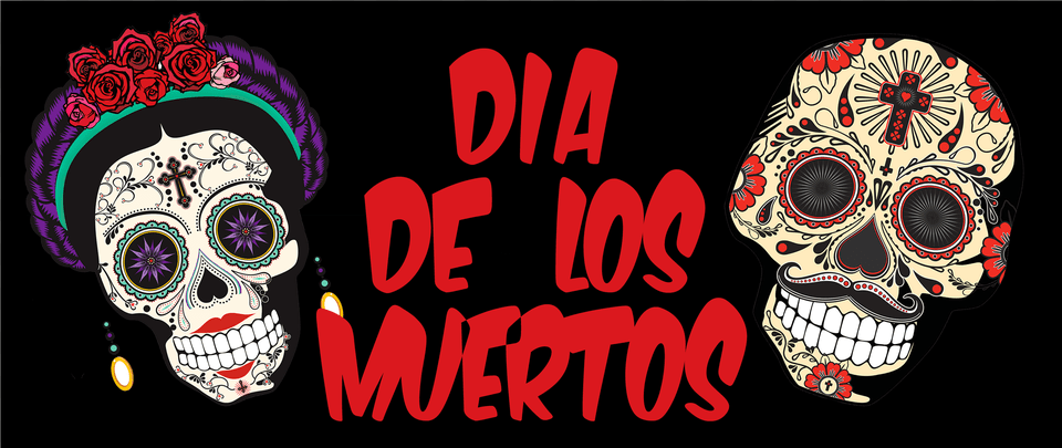 Skull, Face, Head, Person Free Transparent Png