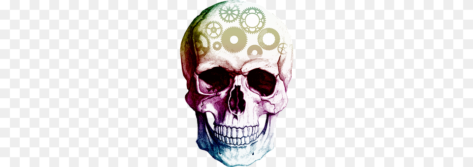 Skull Baby, Person, Head, Face Png Image