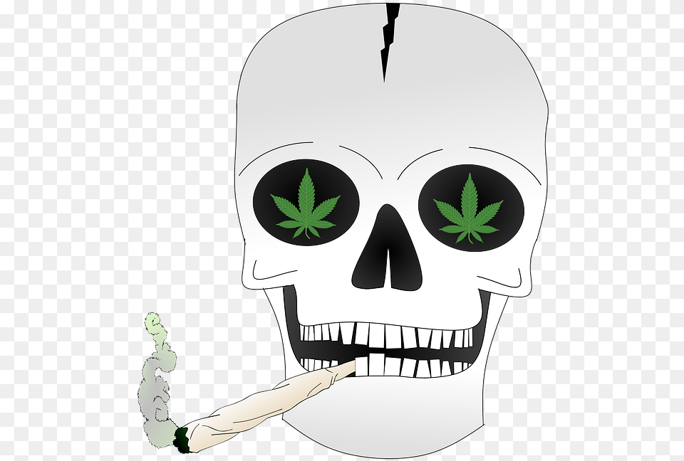 Skull, Leaf, Plant, Stencil, Person Png