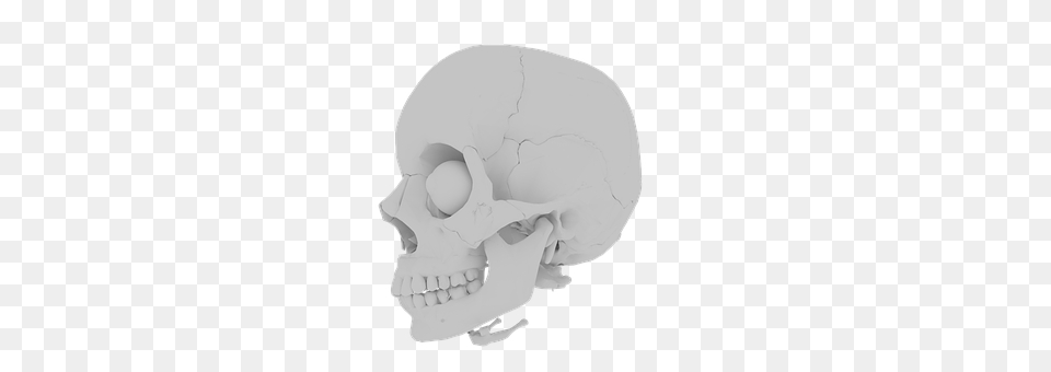Skull Head, Person, Clothing, Hardhat Free Transparent Png