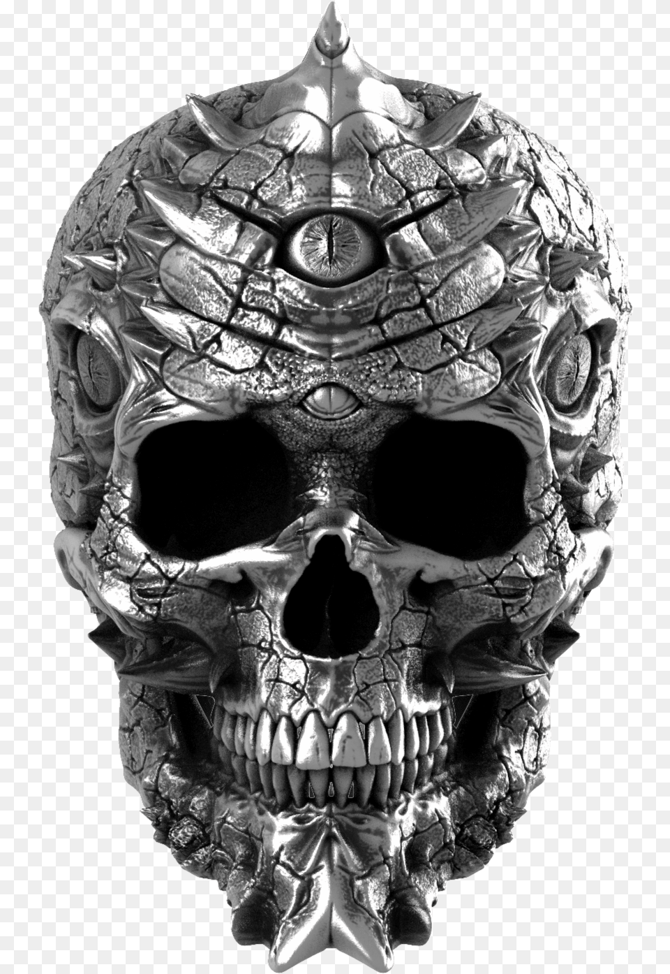 Skull, Adult, Male, Man, Person Png Image