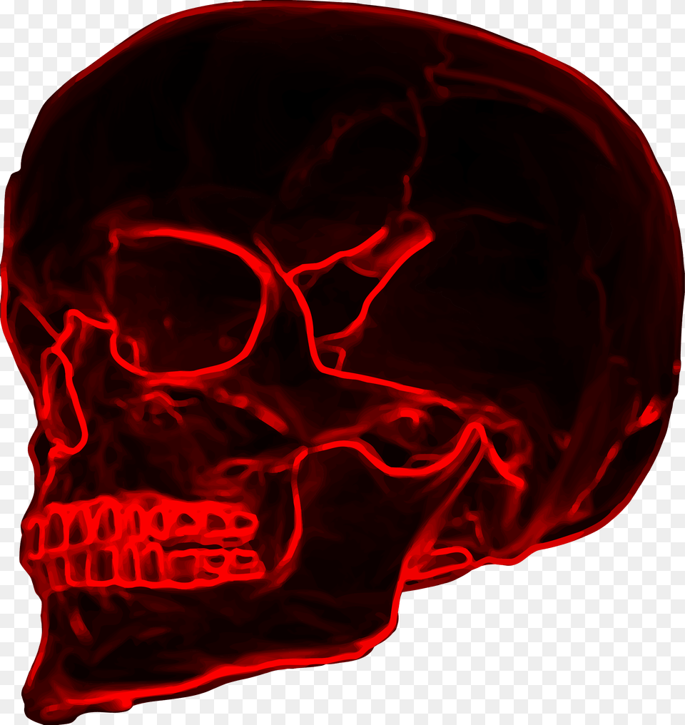 Skull 19 Clip Arts Red Skull Art, Ct Scan, Person Free Transparent Png