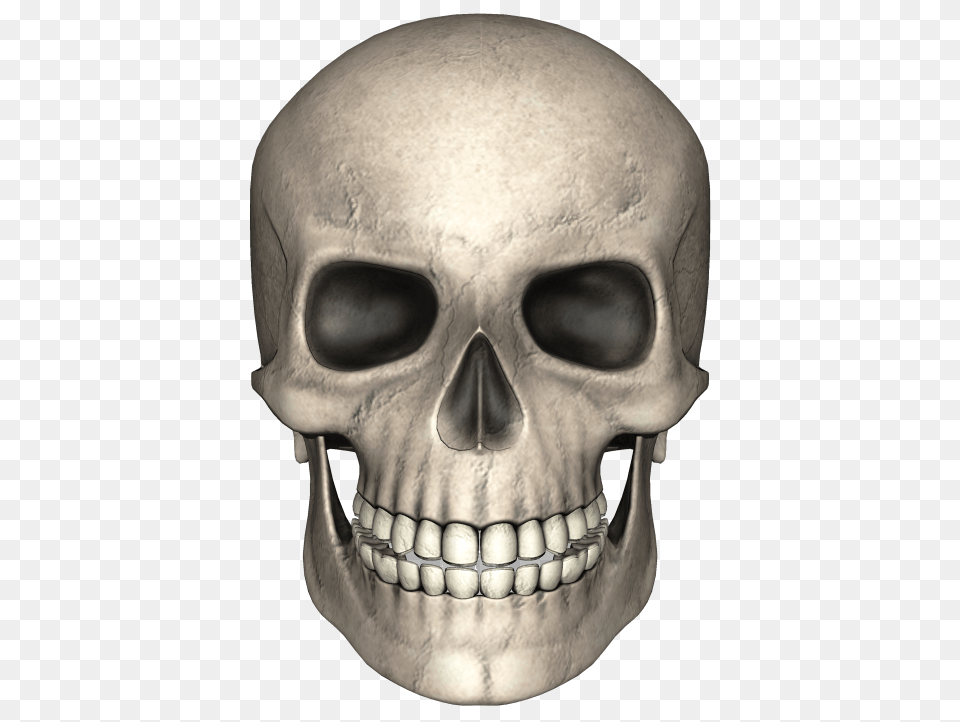 Skull, Head, Person, Animal, Face Free Png Download