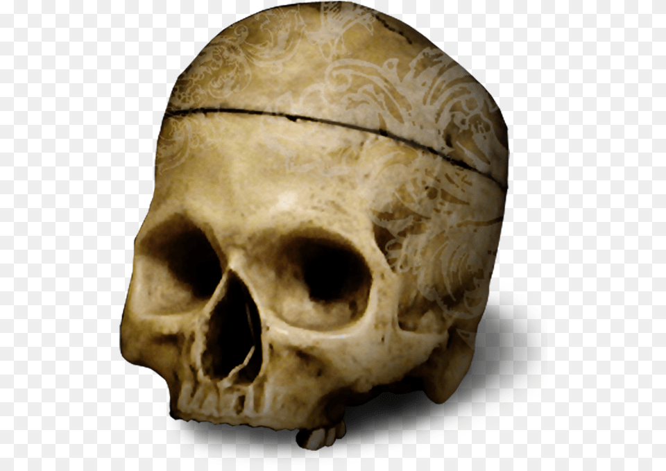 Skull Free Png Download