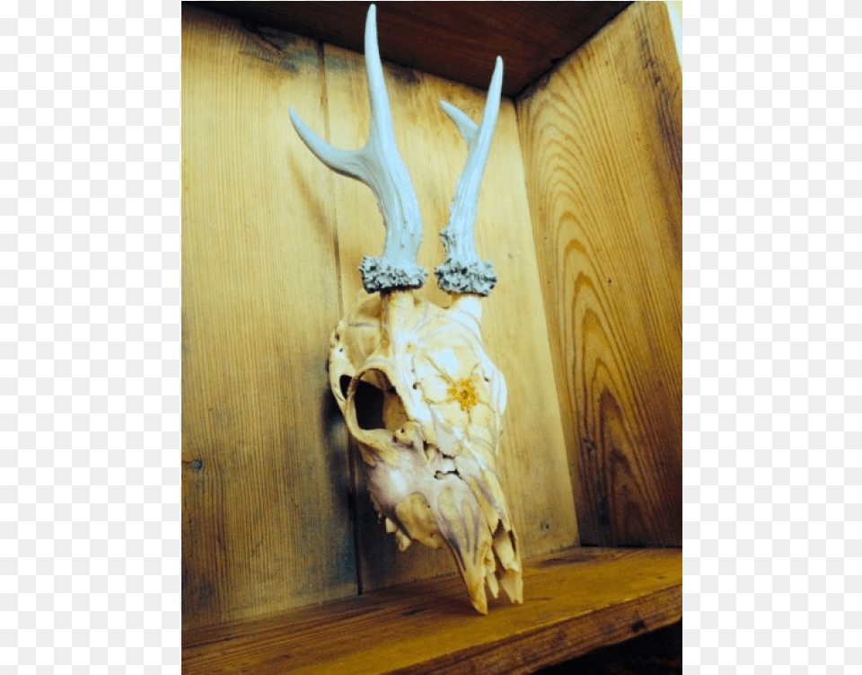 Skull, Wood, Antler, Stained Wood, Hardwood Free Transparent Png