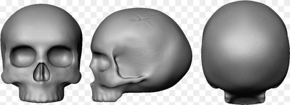 Skull, Egg, Food, Head, Person Free Png Download