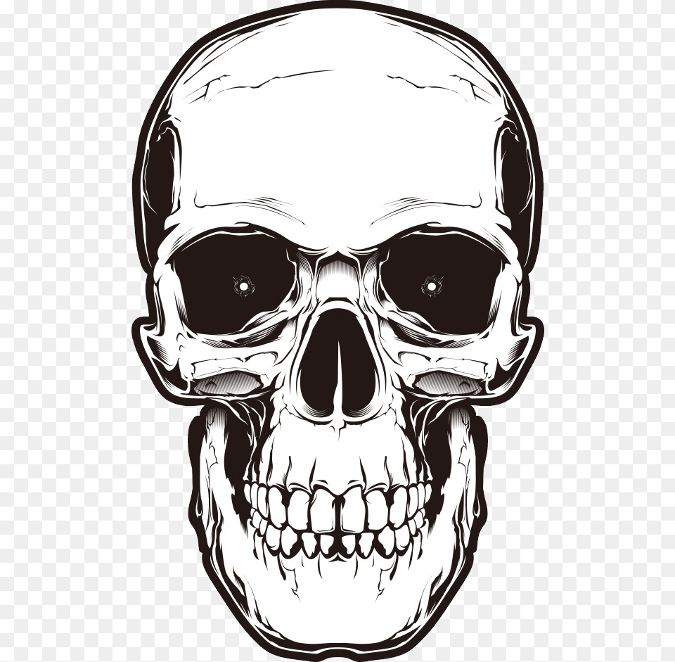 Skull, Adult, Male, Man, Person Free Png