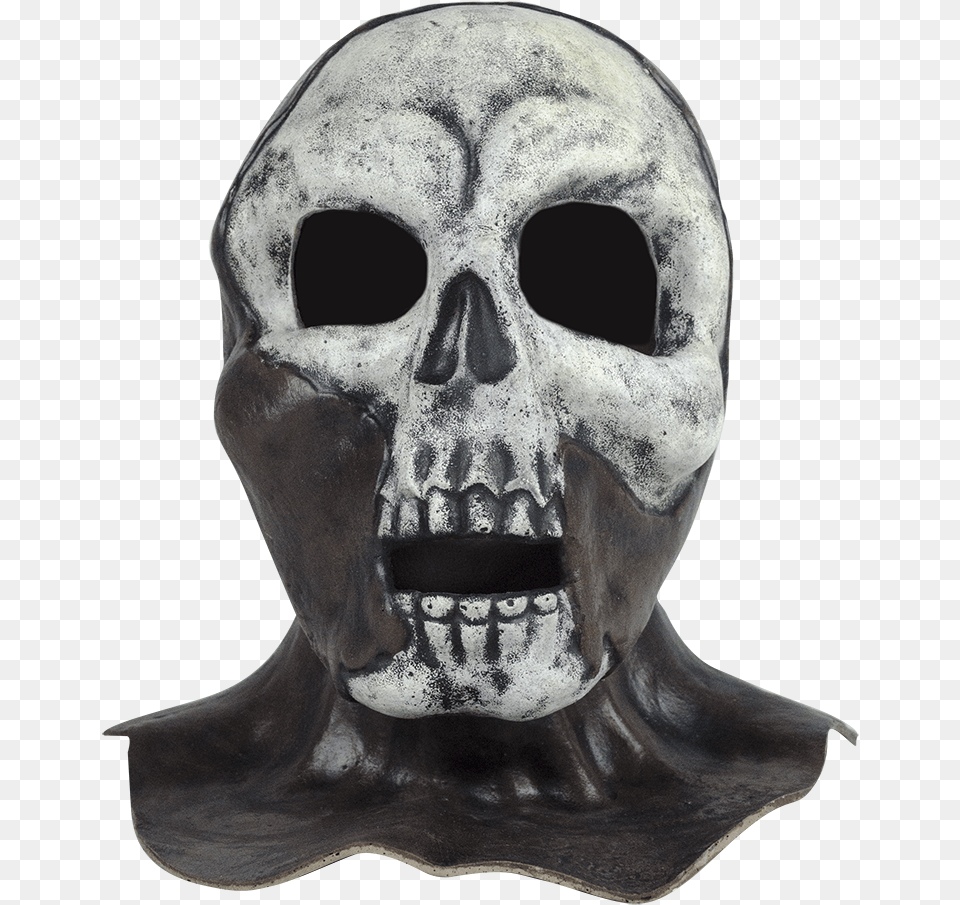 Skull, Adult, Male, Man, Person Png Image