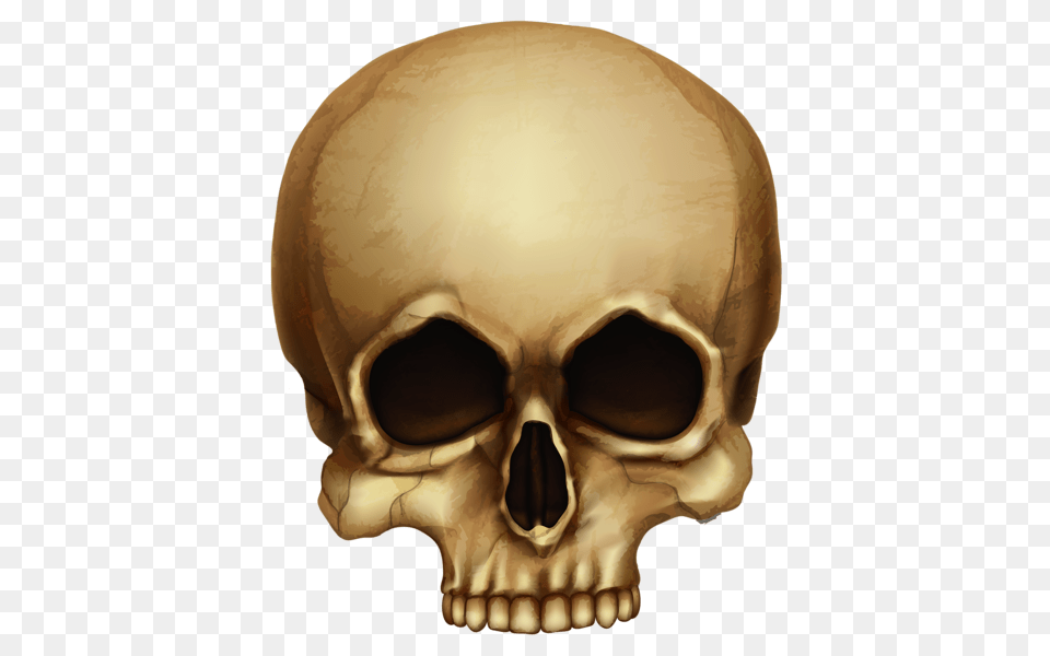 Skull, Helmet, Head, Person Free Png