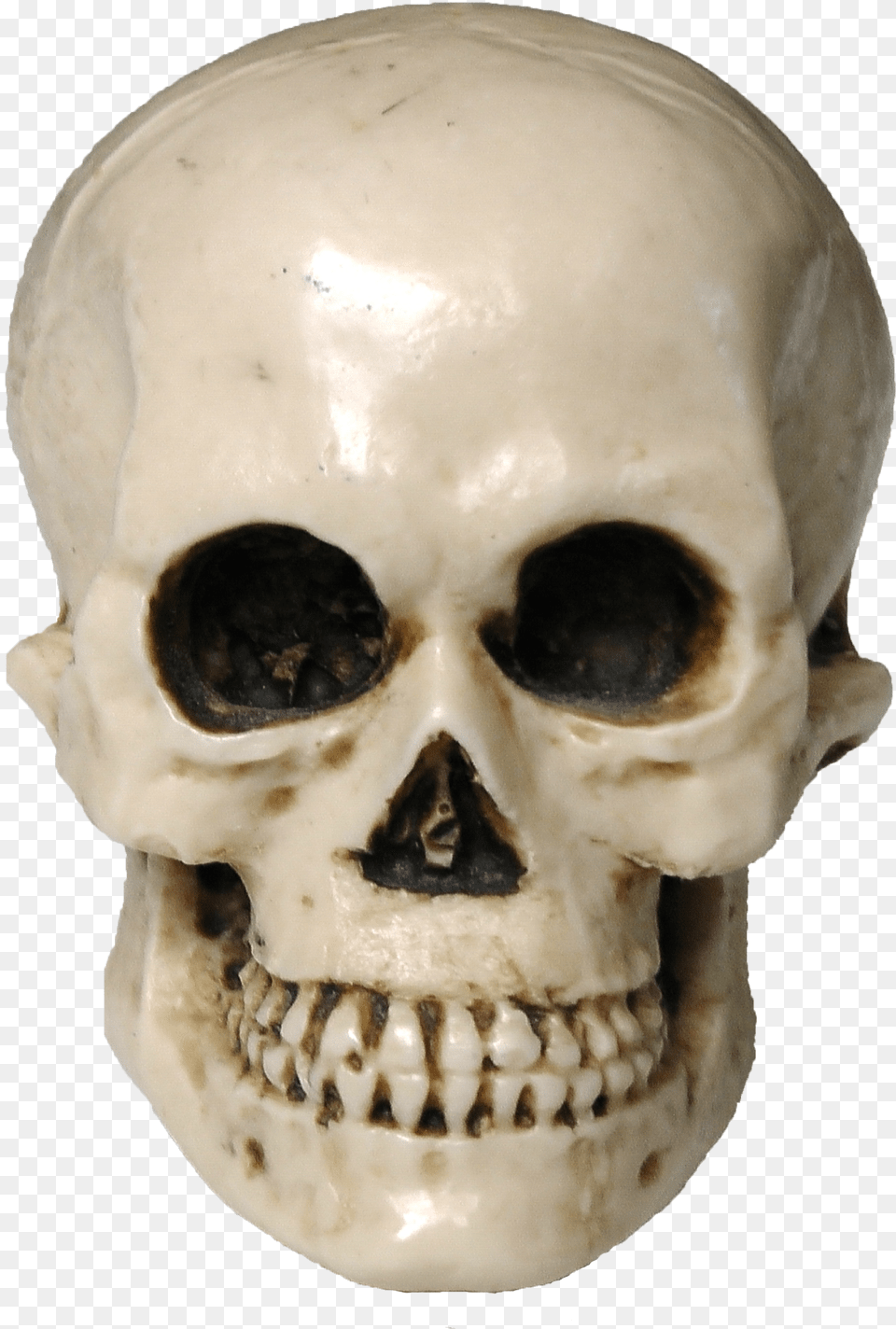Skull, Person, Head Free Png Download