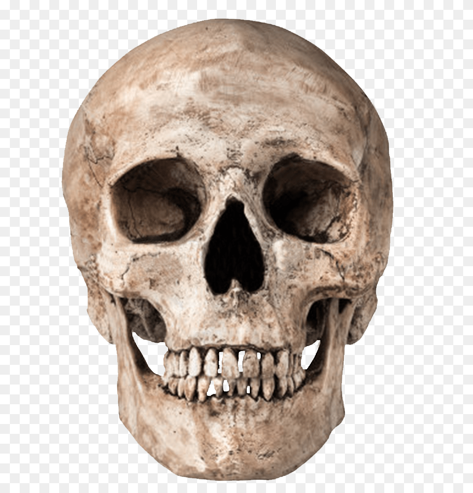 Skull, Person, Head, Face Png