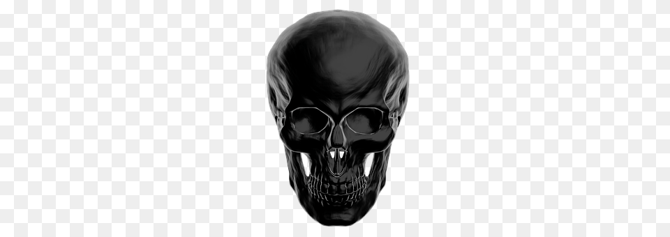 Skull Baby, Person, Head Png