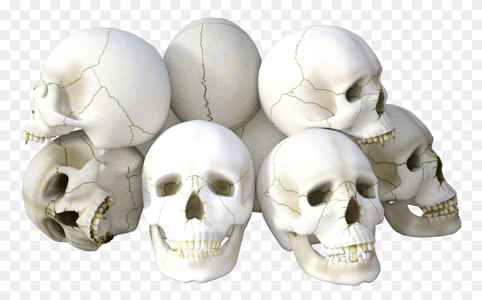 Skull, Egg, Food, Baby, Person Free Png