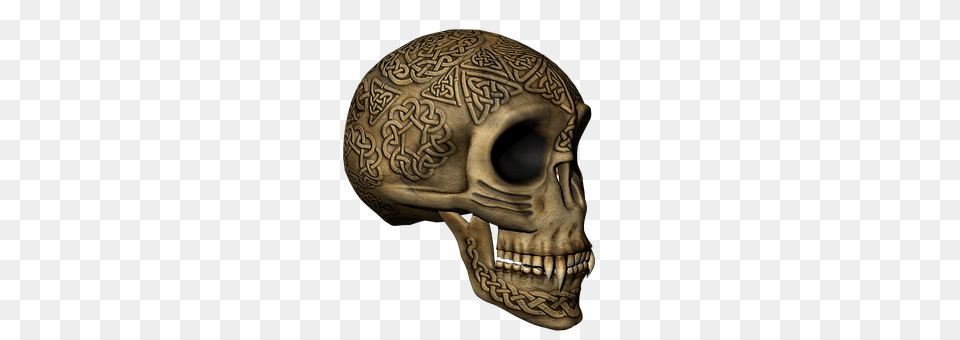 Skull Head, Person Free Transparent Png