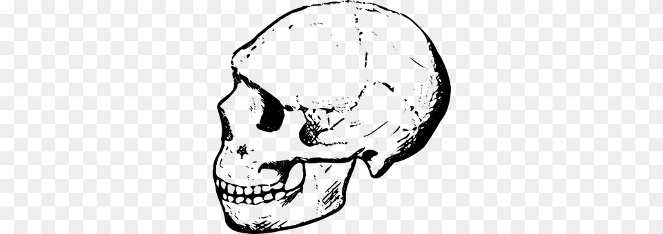 Skull Gray Free Png Download