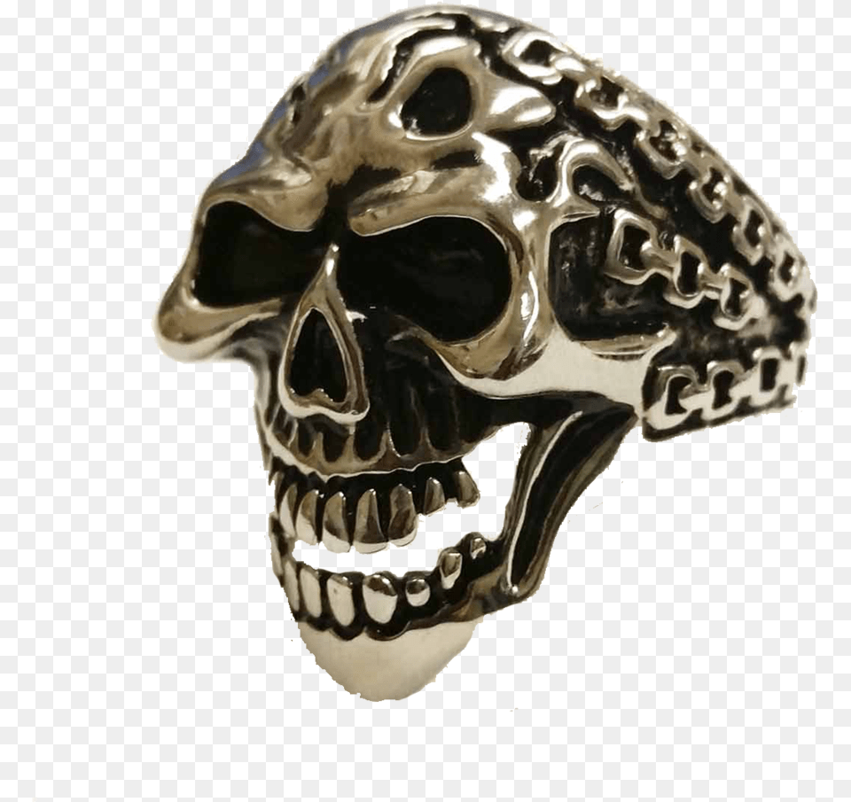 Skull, Accessories, Animal, Dinosaur, Reptile Png Image