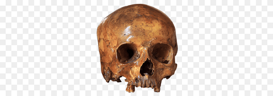 Skull Png