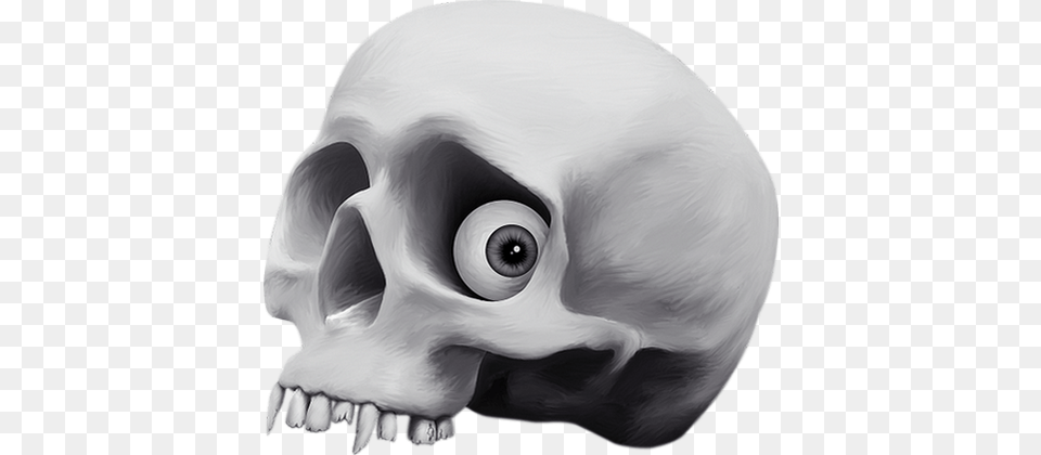 Skull, Art, Animal, Bear, Mammal Png Image