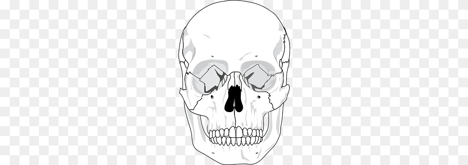 Skull Head, Person, Face Png