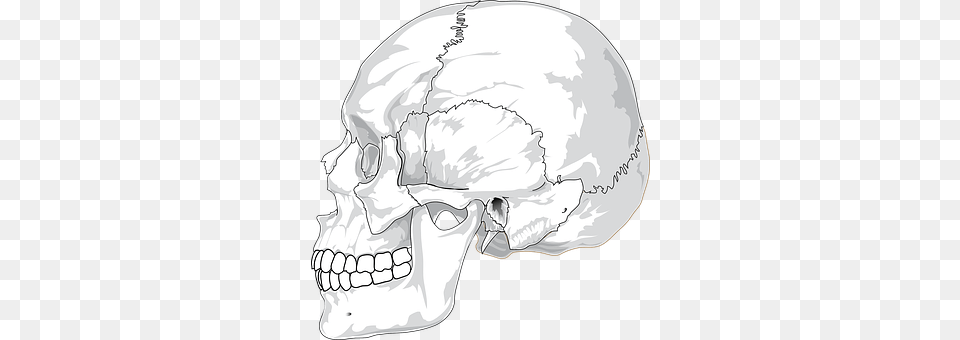 Skull Art, Drawing, Head, Person Free Png Download