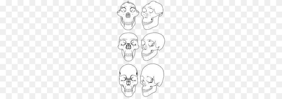Skull Adult, Bride, Female, Person Free Transparent Png