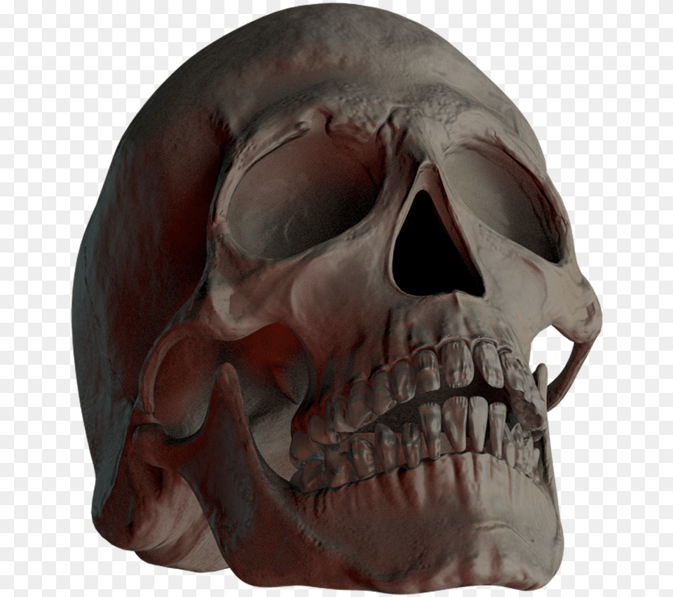 Skull, Head, Person, Face Png