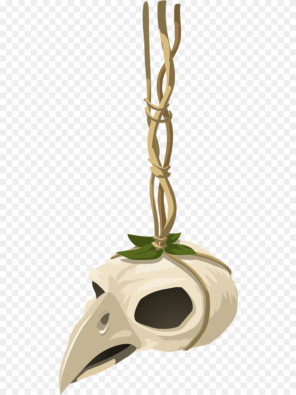 Skull, Animal, Beak, Bird, Accessories Free Transparent Png