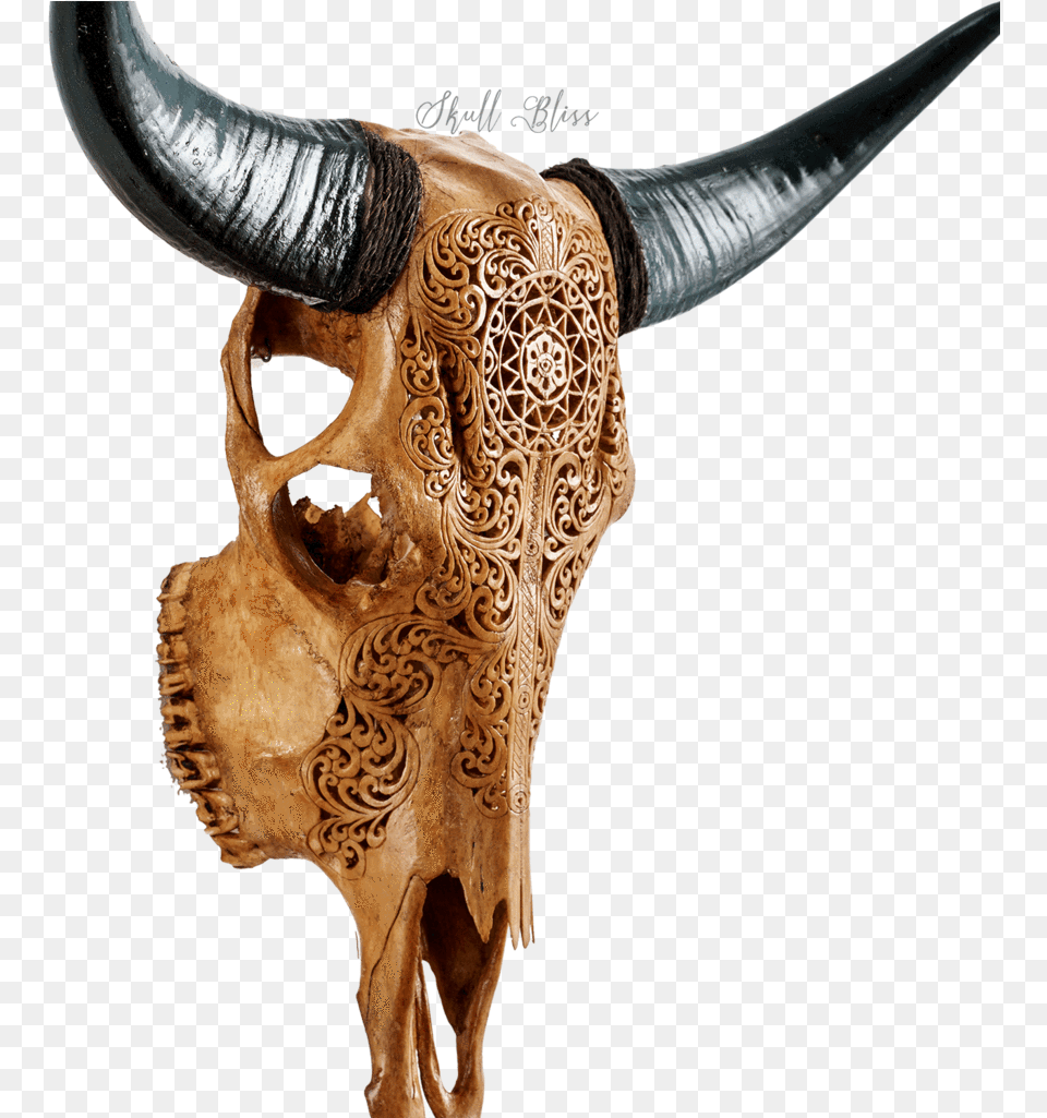 Skull, Animal, Bull, Mammal, Cattle Png