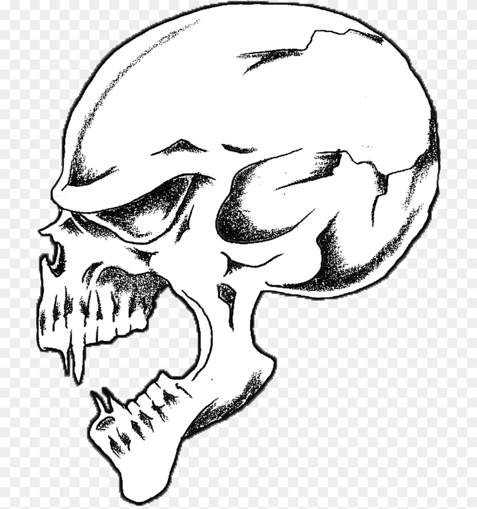 Skull, Art, Baby, Person, Drawing Png Image