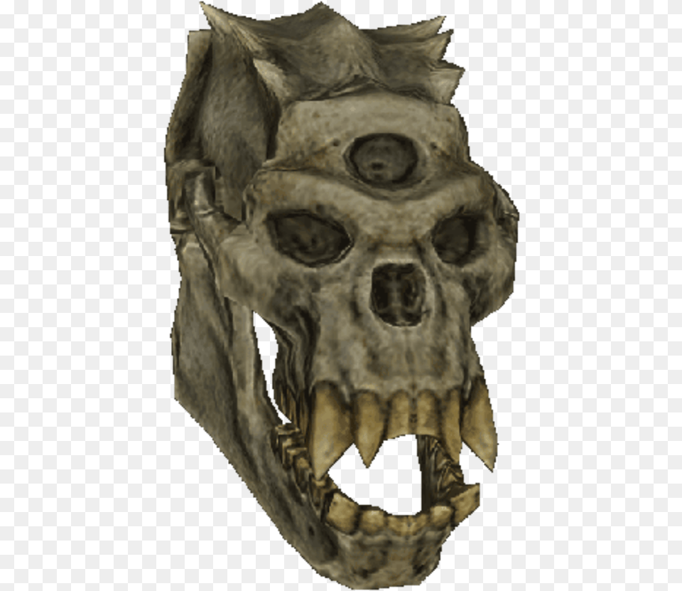 Skull, Accessories, Ornament, Art, Mammal Png Image