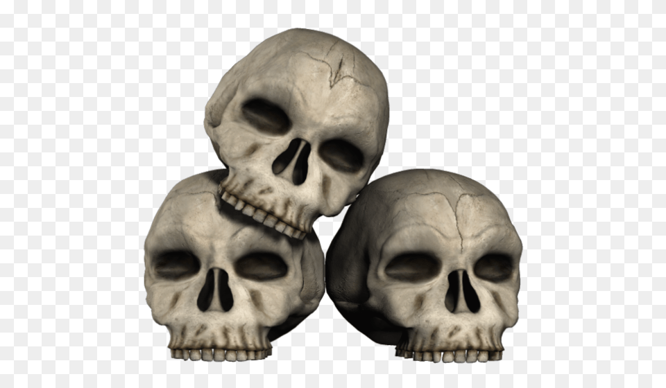 Skull, Baby, Person, Face, Head Free Png