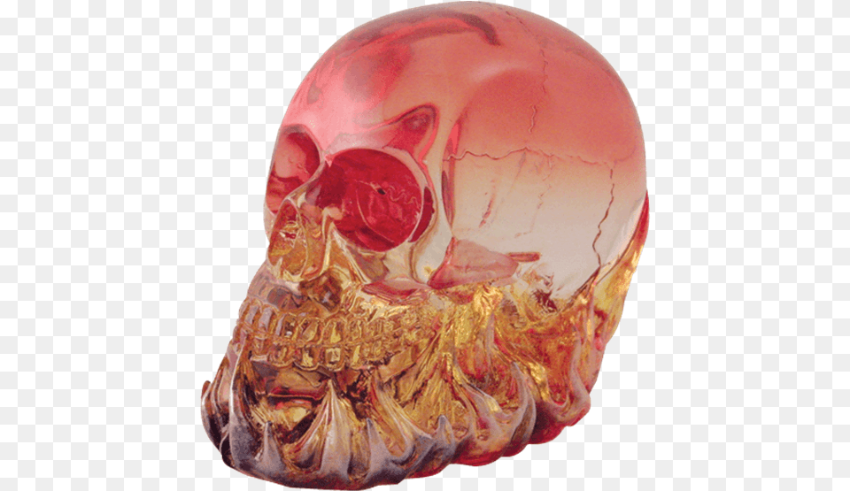 Skull, Accessories, Gemstone, Jewelry, Person Free Png