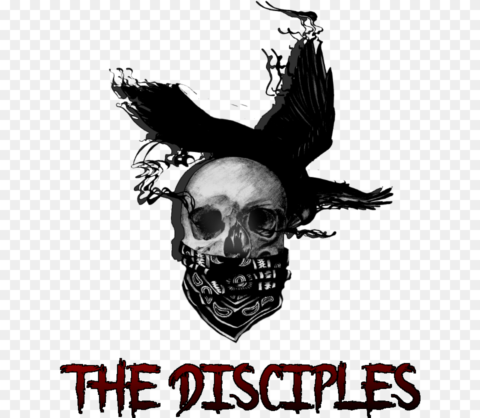 Skull, Face, Head, Person Png