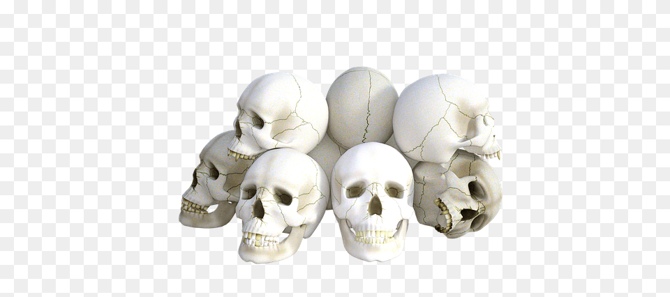 Skull, Egg, Food, Head, Person Png Image