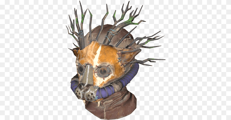 Skull, Animal, Insect, Invertebrate Free Transparent Png