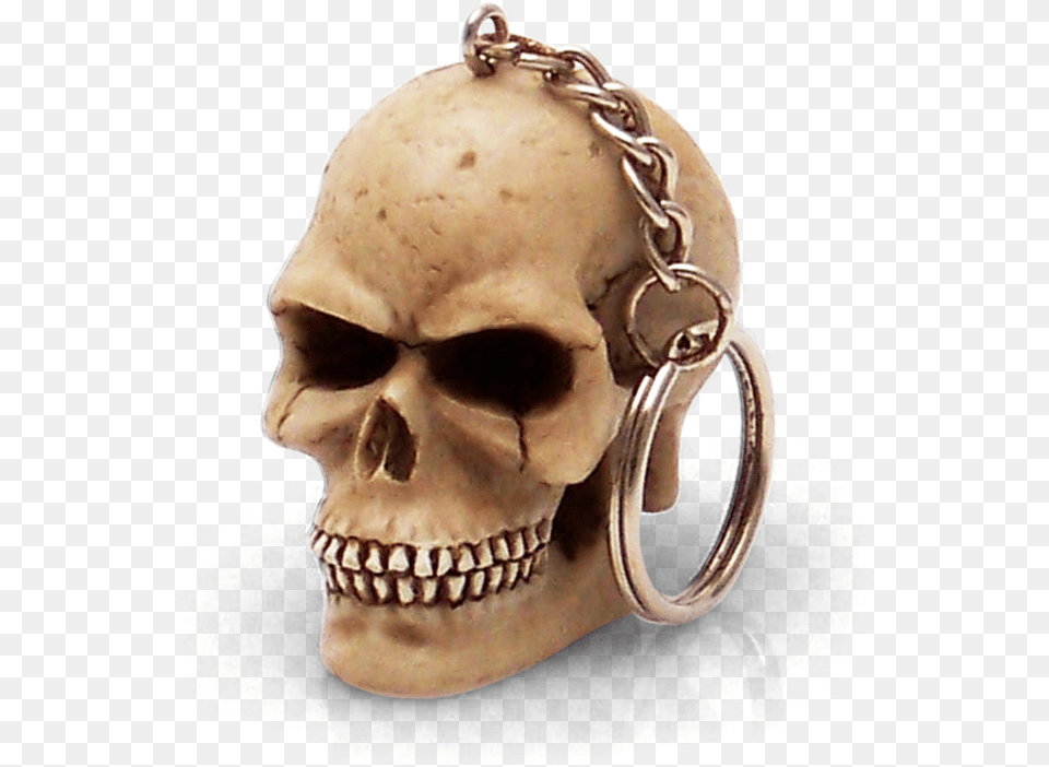 Skull, Accessories, Jewelry, Adult, Male Png