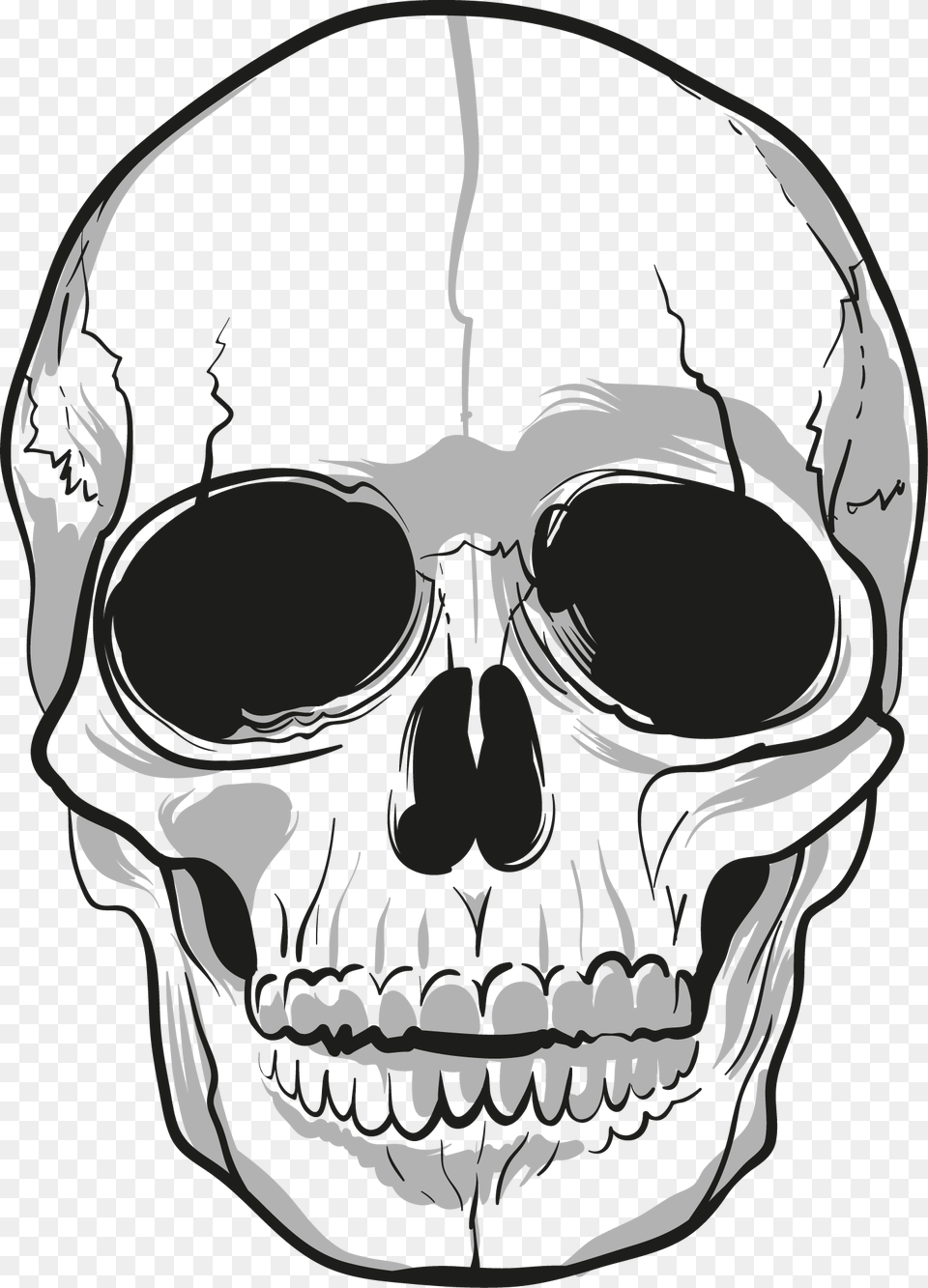 Skull, Art, Drawing, Adult, Male Png Image