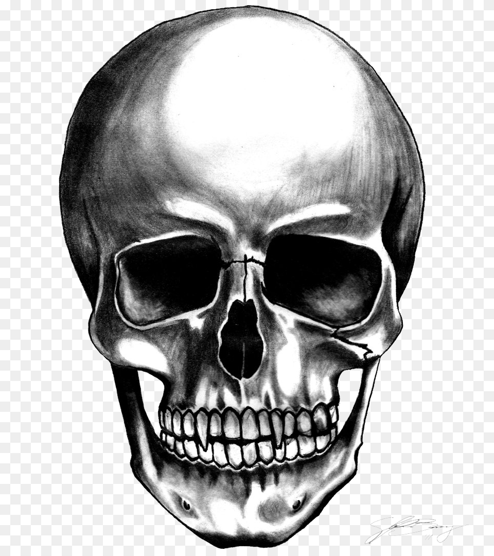 Skull, Accessories, Sunglasses, Person, Head Png