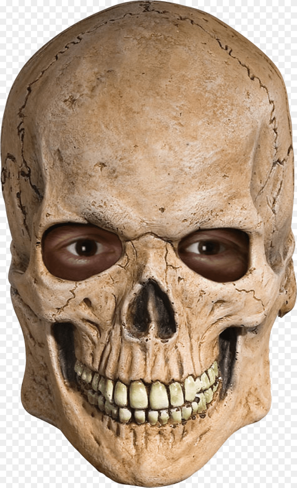 Skull, Head, Person, Face Free Png Download